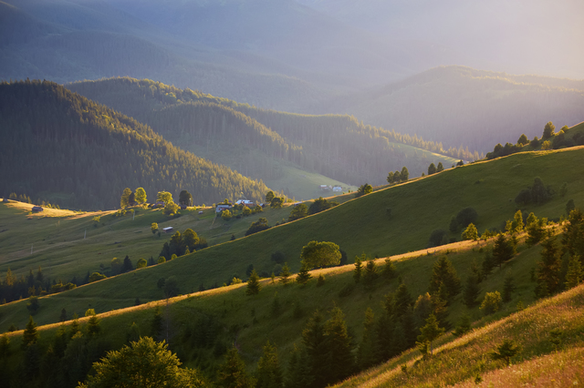 Casa-gradina.ro - Vacanță în Serbia: excursie în munții Tara și Zlatibor 1 casa gradina ro vacanta in serbia excursie in muntii tara si zlatibor 6895974074130