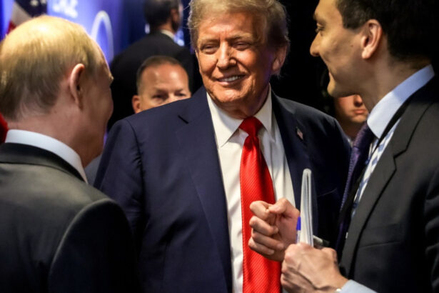 ce i a cerut putin lui trump ucraina trebuie sa se retraga complet din donetk ce ofera rusia la schimb 68a0b8e20fdeb