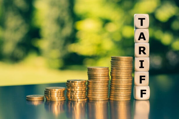 cea mai mare economie a europei afectata de inflatie si somaj pe fondul tarifelor vamale anuntate de sua 68b2a4cc6afe3