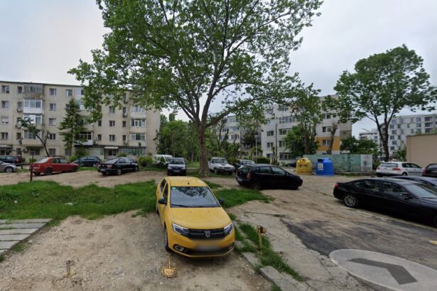 charly comtext srl nu poate construi un bloc de patru etaje pe bulevardul alexandru lapusneanu 68905c59d64f0