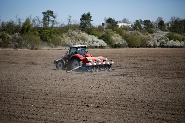 Consiliul Concurenței a realizat inspecții la mai mulți distribuitori de semințe de cultură și produse pentru protecția plantelor. 1 consiliul concurentei a efectuat inspectii la mai multi distribuitori de seminte de cultura si produse pentru protectia culturilor 689b159e290e3