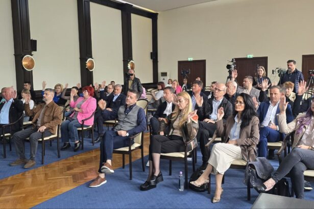 consiliul judetean constanta convocat in sedinta ordinara rectificarea bugetului spitalului judetean si a complexului muzeal de stiinte ale naturii pe ordinea de zi 68a484c8a7b7d