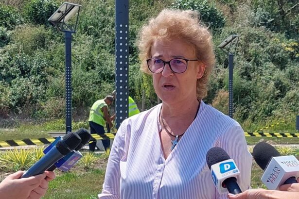 constanta este in insolventa felicia ovanesian a explicat motivele pentru care crede ca orasul este in faliment 689bcc34633b9