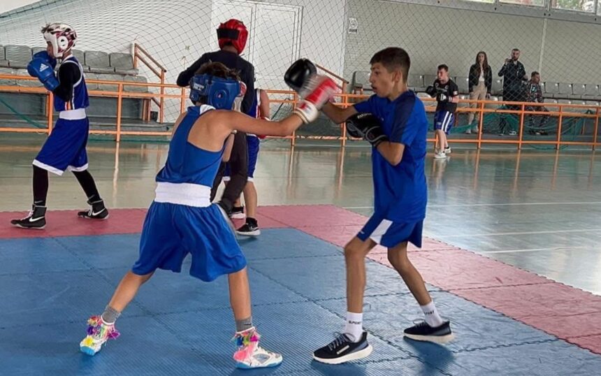 Copiii din Cernavodă sunt invitați la selecțiile de box și kempo organizate de Axiopolis 1 copiii din cernavoda sunt invitati la selectiile de la box si kempo organizate de axiopolis 68a38ed967aff