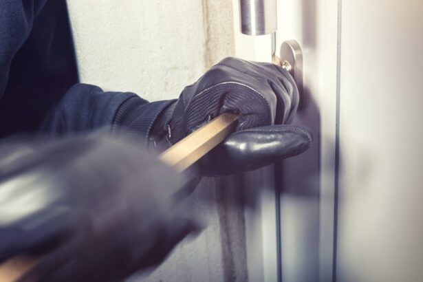 cunoscutul tarla din cumpana spaima apartamentelor de la parter aur 30 000 de euro si o sacosa de kaufland a impuscat 6 ani de inchisoare 689bb704bbf1d