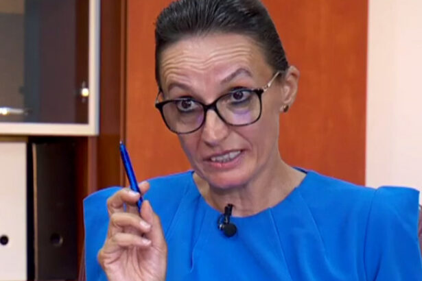 cv ul si averea elenei costache sefa csm care crede ca o pensie de 11 000 de lei este mica 6890998ca3ff8