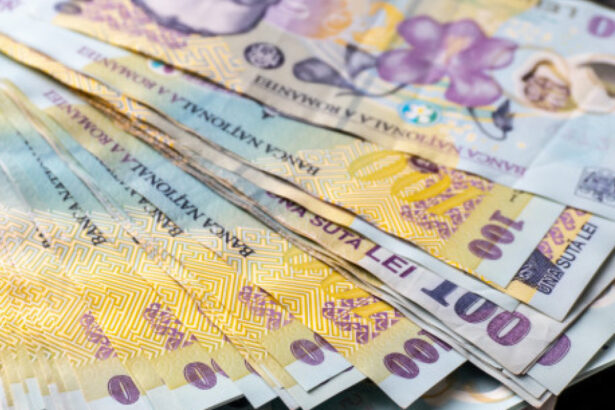 de cati bani are nevoie guvernul in 2025 pentru a finanta programul anghel saligny fara a opri nicio investitie 689196aaa8f58