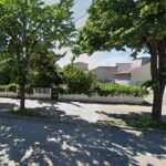 de la comertul alimentar la imobiliare societatea ana dist srl initiatoare a unui puz pe bulevardul mamaia 68945059e1ac5