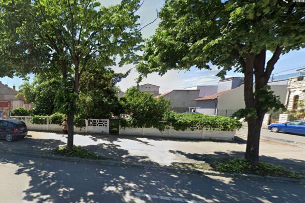 de la comertul alimentar la imobiliare societatea ana dist srl initiatoare a unui puz pe bulevardul mamaia 68945059e1ac5