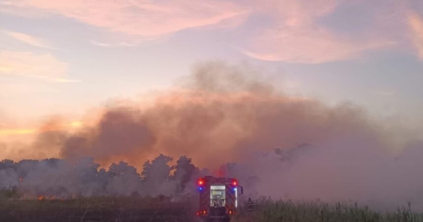 Intervenție a pompierilor în Medgidia: 5 mașini de stingere trimise pentru un incendiu pe strada Triumfului 1 defasurare de forte in medgidia au fost trimise 5 masini de stingere ale pompierilor pentru un incendiu izbucnit pe strada triumfului 688e1462e2491