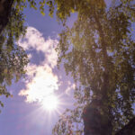 Estimări meteo pe 4 săptămâni: Final de august cu temperaturi sub medie. Prognoza vremii pentru septembrie 3 estimari meteo pe 4 saptamani final de august cu temperaturi mai scazute decat de obicei cum va fi vremea in septembrie 68a4244305b4f