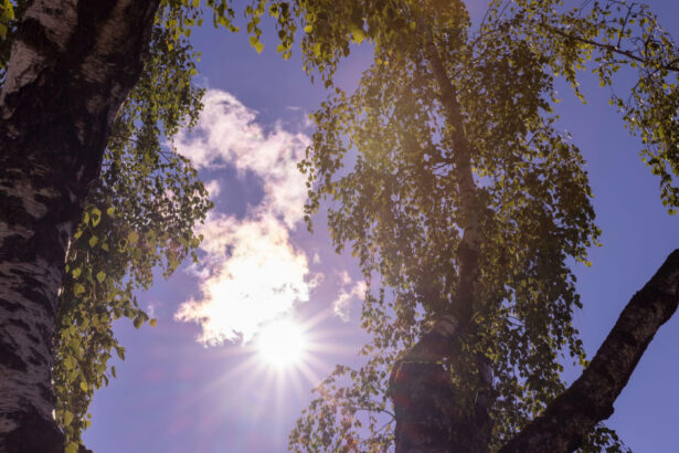 estimari meteo pe 4 saptamani final de august cu temperaturi mai scazute decat de obicei cum va fi vremea in septembrie 68a4244305b4f