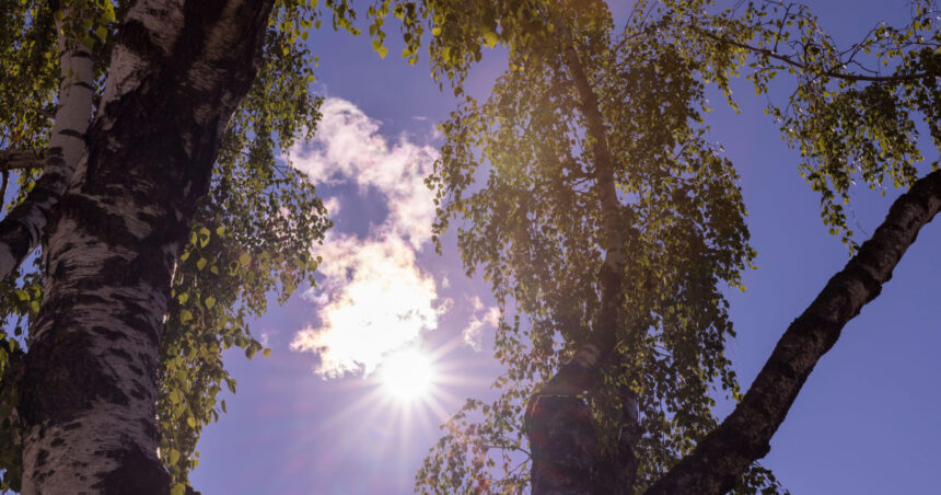 Estimări meteo pe 4 săptămâni: Final de august cu temperaturi sub medie. Prognoza vremii pentru septembrie 1 estimari meteo pe 4 saptamani final de august cu temperaturi mai scazute decat de obicei cum va fi vremea in septembrie 68a4244305b4f