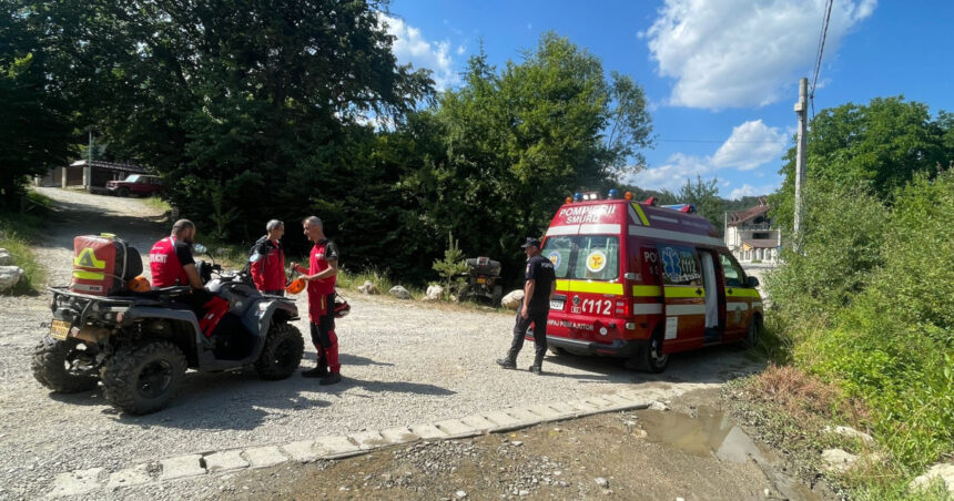 Fată mușcată de câini în zona montană din Brașov. Avertismentul salvamontiștilor: Atenție la câinii de stână. 1 fata muscata de caini in zona montana din brasov avertismentul salvamontistilor atentie la cainii de stana 6896cb1a6e678