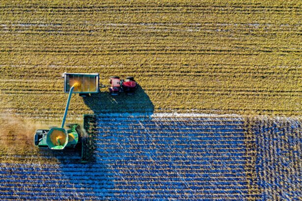 fermierii cer guvernului sa nu sisteze finantarea prin pnrr pentru liceele agricole 68aef4bd83681
