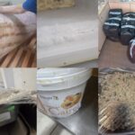 Comandamentul Litoral 2025 a aplicat sancțiuni de peste 150.000 de euro! Află ce abateri au constatat comisarii de la Protecția Consumatorilor. 2 foto comandamentul litoral 2025 a aplicat sanctiuni de peste 150 000 de euro vezi aici ce abateri au constatat comisarii de la protectia consumatorilor 688e25d74625b
