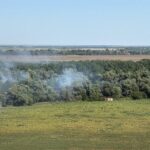 De 5 zile arde pădurea în zona Chilia Veche, județul Tulcea 2 foto de 5 zile arde padurea din zona chilia veche judetul tulcea 6895da688e1d8
