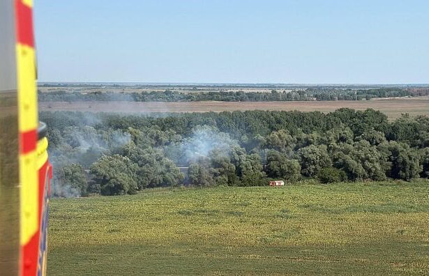 foto de 5 zile arde padurea din zona chilia veche judetul tulcea 6895da688e1d8