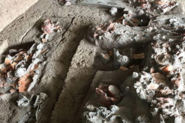 foto descoperire rara dinti vechi de 4 000 de ani arata ca oamenii consumau nuci cu efecte psihoactive 68905339653ae