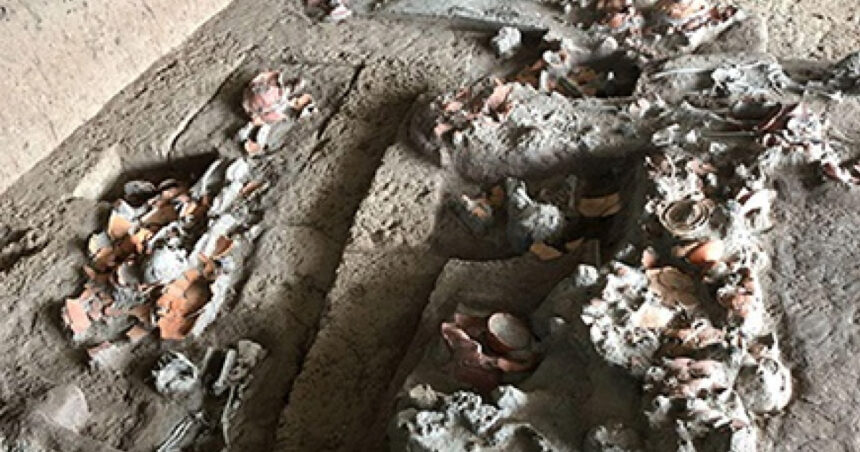Descoperire rară: dinți vechi de 4.000 de ani arată că oamenii consumau nuci cu efecte psihoactive 1 foto descoperire rara dinti vechi de 4 000 de ani arata ca oamenii consumau nuci cu efecte psihoactive 68905339653ae