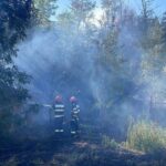 foto incendiu in localitatea mahmudia extins de la vegetatie uscata la anexe gospodaresti 68a7789bea14d