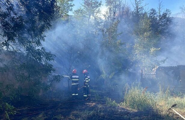 foto incendiu in localitatea mahmudia extins de la vegetatie uscata la anexe gospodaresti 68a7789bea14d