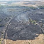 foto medgidia focul a mistuit zeci de hectare de vegetatie de la marginea municipiului circulatia a 6 trenuri a fost afectata 68a1fea4a9632