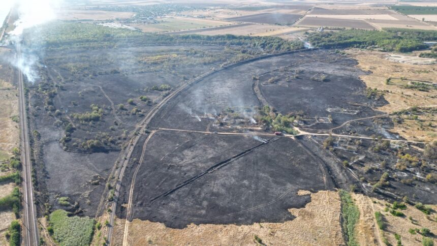 Medgidia: focul a mistuit zeci de hectare de vegetație de la marginea municipiului, afectând circulația a 6 trenuri. 1 foto medgidia focul a mistuit zeci de hectare de vegetatie de la marginea municipiului circulatia a 6 trenuri a fost afectata 68a1fea4a9632