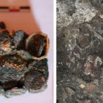 foto tezaur roman descoperit in situl arheologic histria zeci de monede si podoabe din metale pretioase vor fi restaurate 68ac90ff9a289