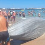 foto un velier de mici dimensiuni s a rasturnat la eforie nord au intervenit salvamarii 68a1c9115526a