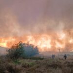foto video alerta in judetul tulcea incendiu puternic intre murighiol si mahmudia vezi aici ce se intampla 68a8aa8dd5cfb