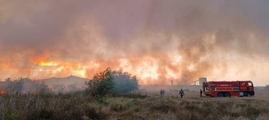 foto video alerta in judetul tulcea incendiu puternic intre murighiol si mahmudia vezi aici ce se intampla 68a8aa8dd5cfb
