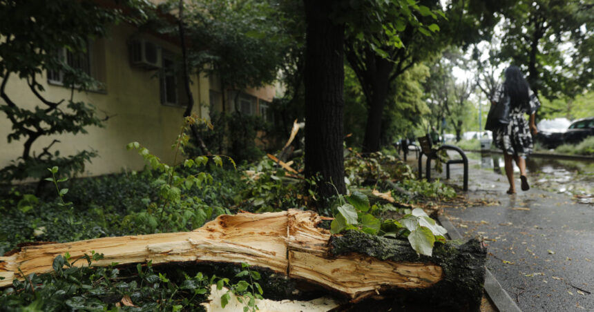 Furtunile se deplasează în jumătatea de sud a țării. Meteorolog: „O vreme variabilă și cu perioade de instabilitate” 1 furtunile se muta in jumatatea de sud a tarii meteorolog o vreme schimbatoare si cu intervale de instabilitate 68a2bdab33304