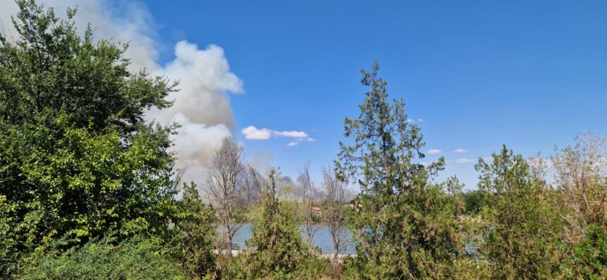 UPDATE. Numărul autospecialelor de stingere, suplimentat. Incendiu violent de vegetație uscată la Medgidia 1 galerie fotovideo update numarul autospecialelor de stingere suplimentat incendiu violent de vegetatie uscata la medgidia 68a1be625c5f2