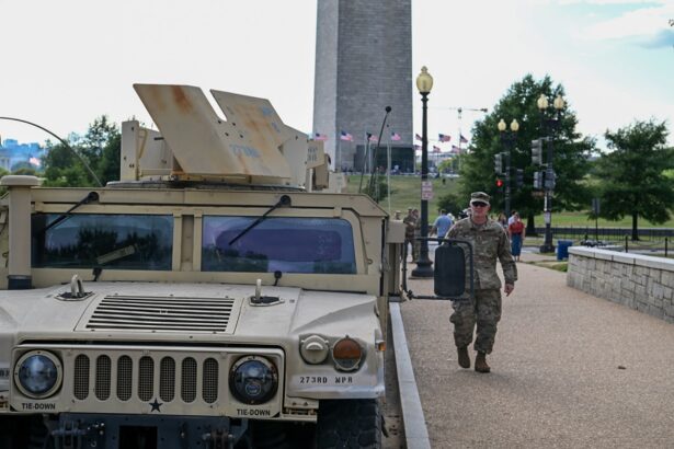 garda nationala si armata sua descindere in forta in washington dc masuri similare ar urma sa fie luate si pentru new york si chicago 689c43e89d13d