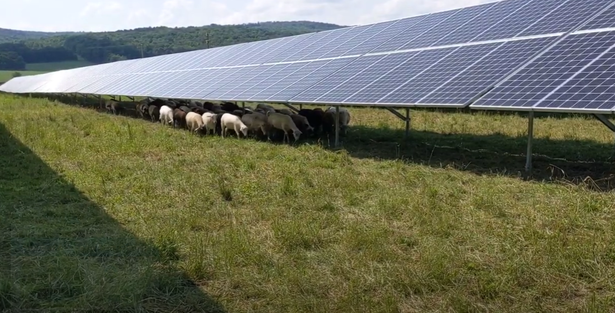 grafice productia de energie regenerabila a scazut cu 2 in pofida majorarii capacitatilor instalate cu aproape 20 influenta principala a prosumatorilor se simte mai ales in ceea ce priveste consumul 68a2fb0b0b5d8