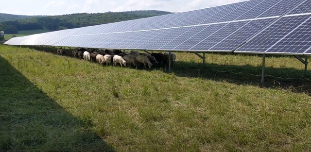grafice productia de energie regenerabila a scazut cu 2 in pofida majorarii capacitatilor instalate cu aproape 20 influenta principala a prosumatorilor se simte mai ales in ceea ce priveste consumul 68a2fb0b0b5d8