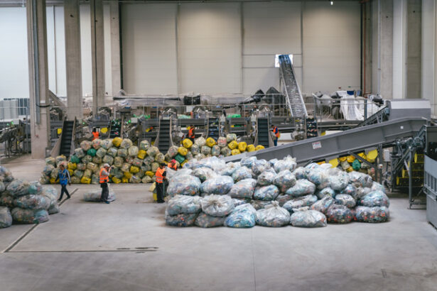 guvernul renunta la o conditia valorificarii materialelor reciclate prin sgr la bursa romana de marfuri 689d8e8112996