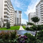 impact developer contractor rezultate drastic ameliorate la s1 68a60b0785700
