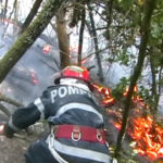 incendiu de vegetatie in hunedoara 60 de hectare au fost afectate iar focul a ajuns aproape de o manastire 68b2c46dd3eda