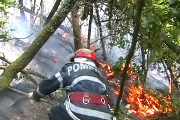 incendiu de vegetatie in hunedoara 60 de hectare au fost afectate iar focul a ajuns aproape de o manastire 68b2c46dd3eda