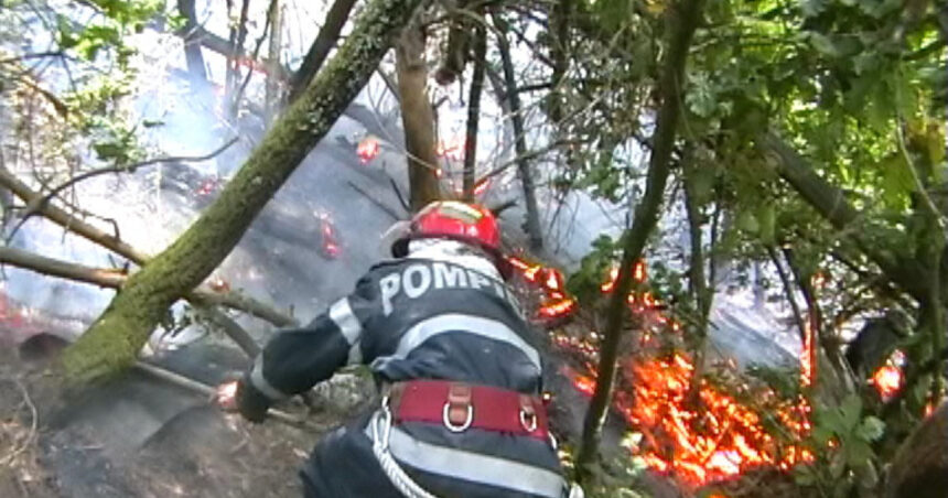 incendiu de vegetatie in hunedoara 60 de hectare au fost afectate iar focul a ajuns aproape de o manastire 68b2c46dd3eda