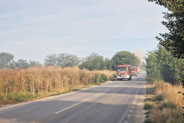 incendiu de vegetatie la iesire din medgidia spre valea dacilor intervin mai multe autospeciale de stingere 68adf07e74e10