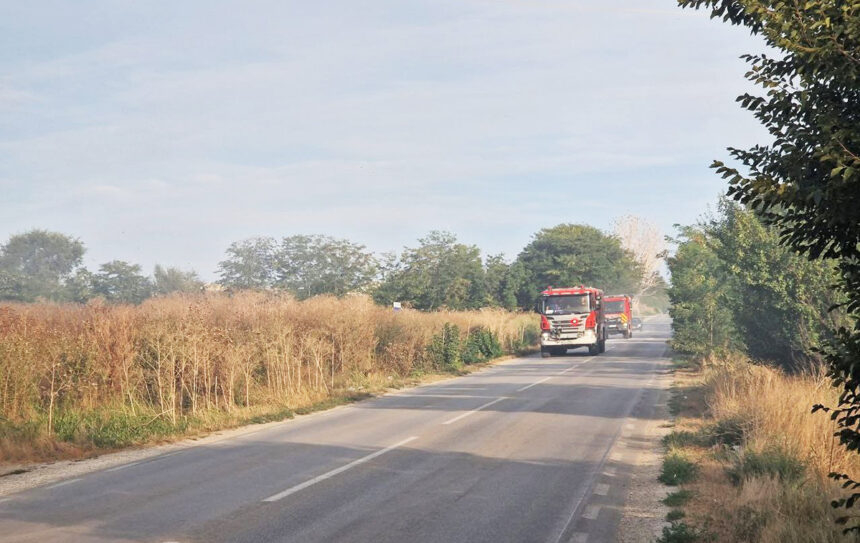 Incendiu de vegetație la ieșirea din Medgidia către Valea Dacilor: Intervenția mai multor autospeciale de stingere 1 incendiu de vegetatie la iesire din medgidia spre valea dacilor intervin mai multe autospeciale de stingere 68adf07e74e10