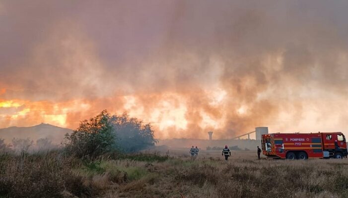 Incendiu de vegetație uscată între Murighiol și Mahmudia 1 incendiu de vegetatie uscata intre murighiol si mahmudia 68a9a4dfe40ae