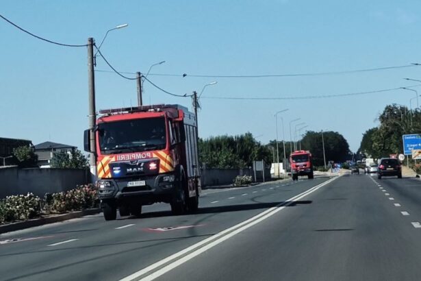 incendiu de vegetatie uscata la iesirea din mangalia interventie prompta a pompierilor 68a1e1c98c779