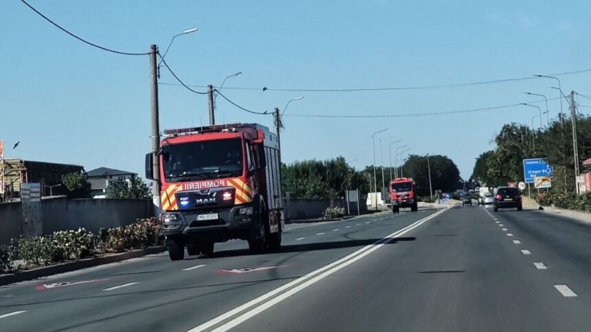 incendiu de vegetatie uscata la iesirea din mangalia interventie prompta a pompierilor 68a1e1c98c779