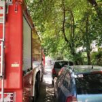 incendiu in cartierul boreal din constanta iata de la ce a pornit focul 6899a47bd2a00