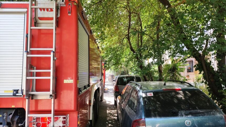 incendiu in cartierul boreal din constanta iata de la ce a pornit focul 6899a47bd2a00