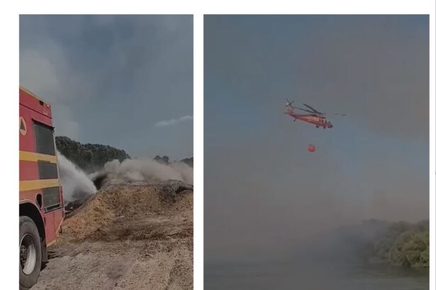 incendiu in delta dunarii pompierii lupta de opt zile pentru lichidarea focului 6899dd7a5614e